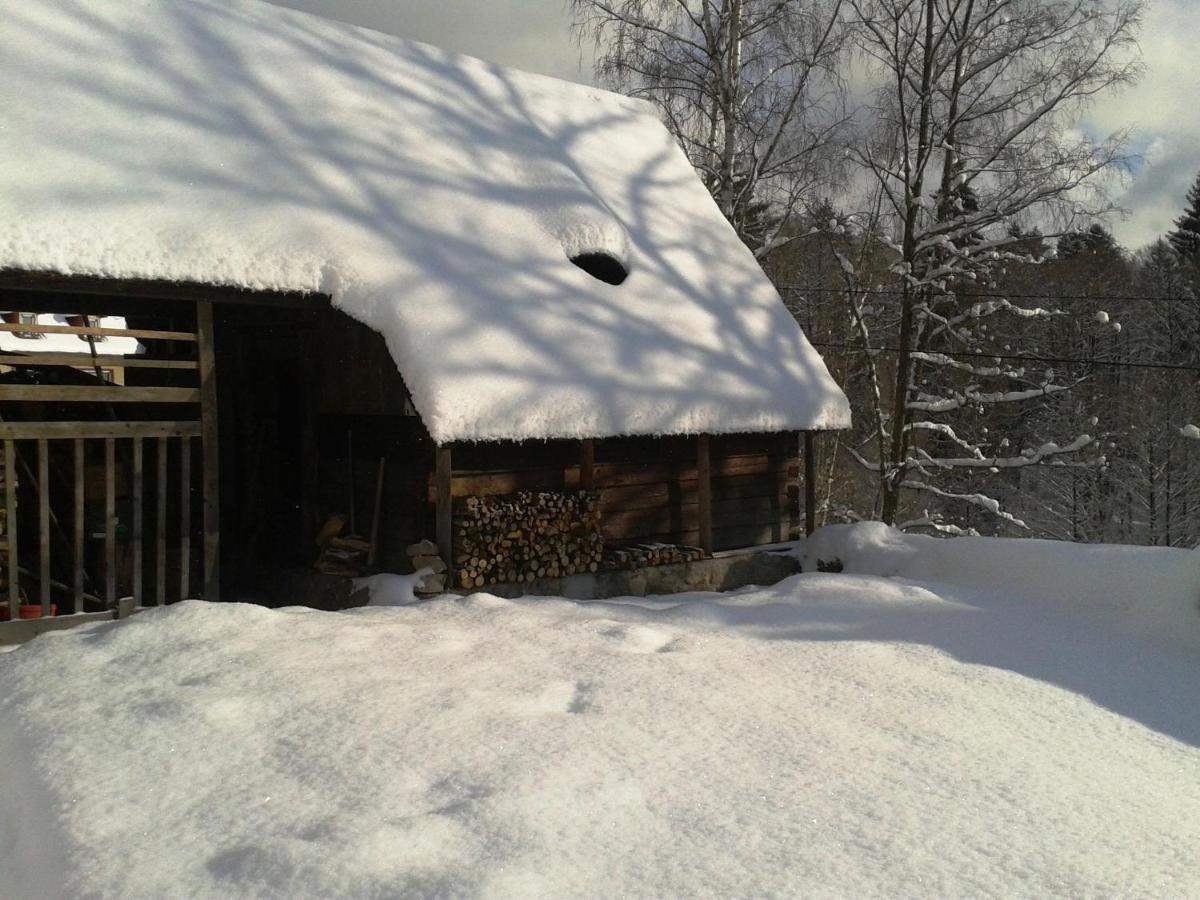 Holiday Home In Nejdek In West Bohemia With Garden Ngoại thất bức ảnh